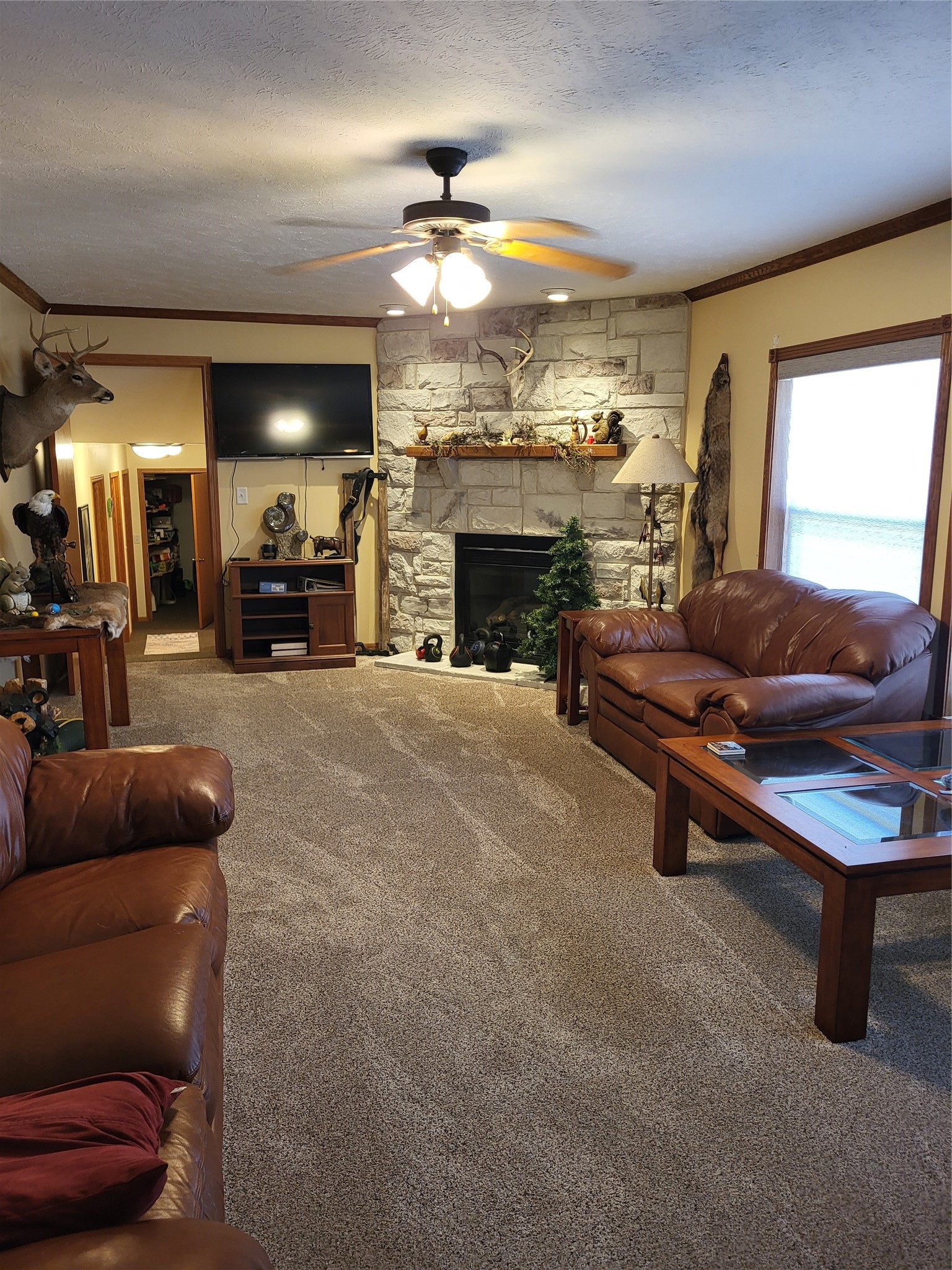 N4131 Valley Road Black River Falls, WI 54615 - Photo 9 of 48