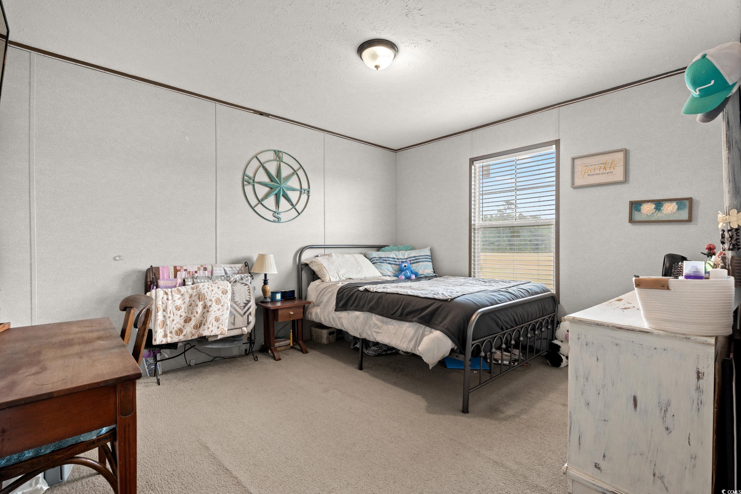 1217 Poplar Creek Road Lake View, SC 29563 - Photo 19 of 38 Bedroom with light colored carpet, a textured ceiling, and crown molding