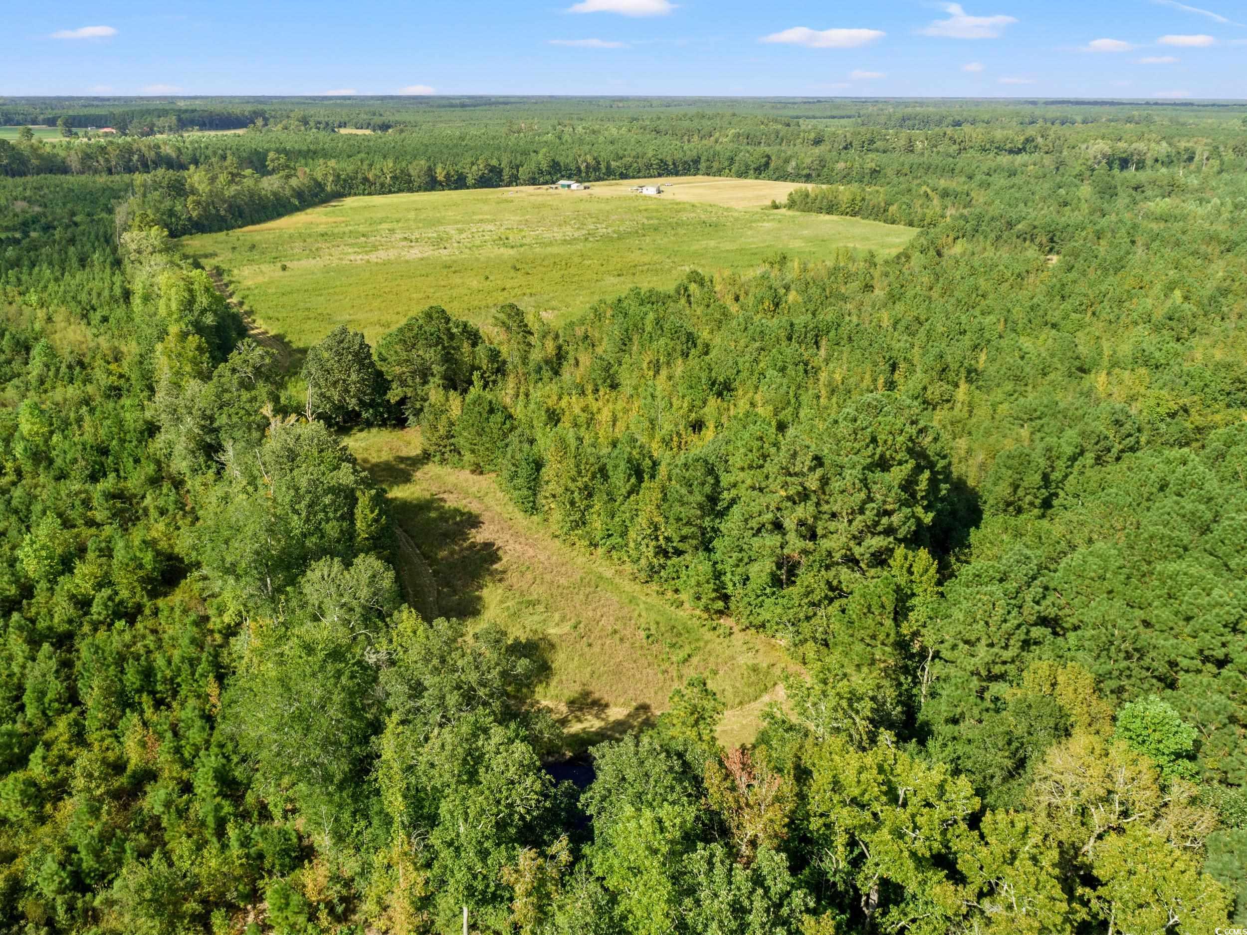 1217 Poplar Creek Road Lake View, SC 29563 - Photo 29 of 38 View of property location with a forest