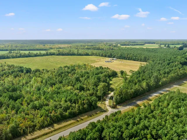 $499,900 | 1217 Poplar Creek Road, Lake View, SC 29563