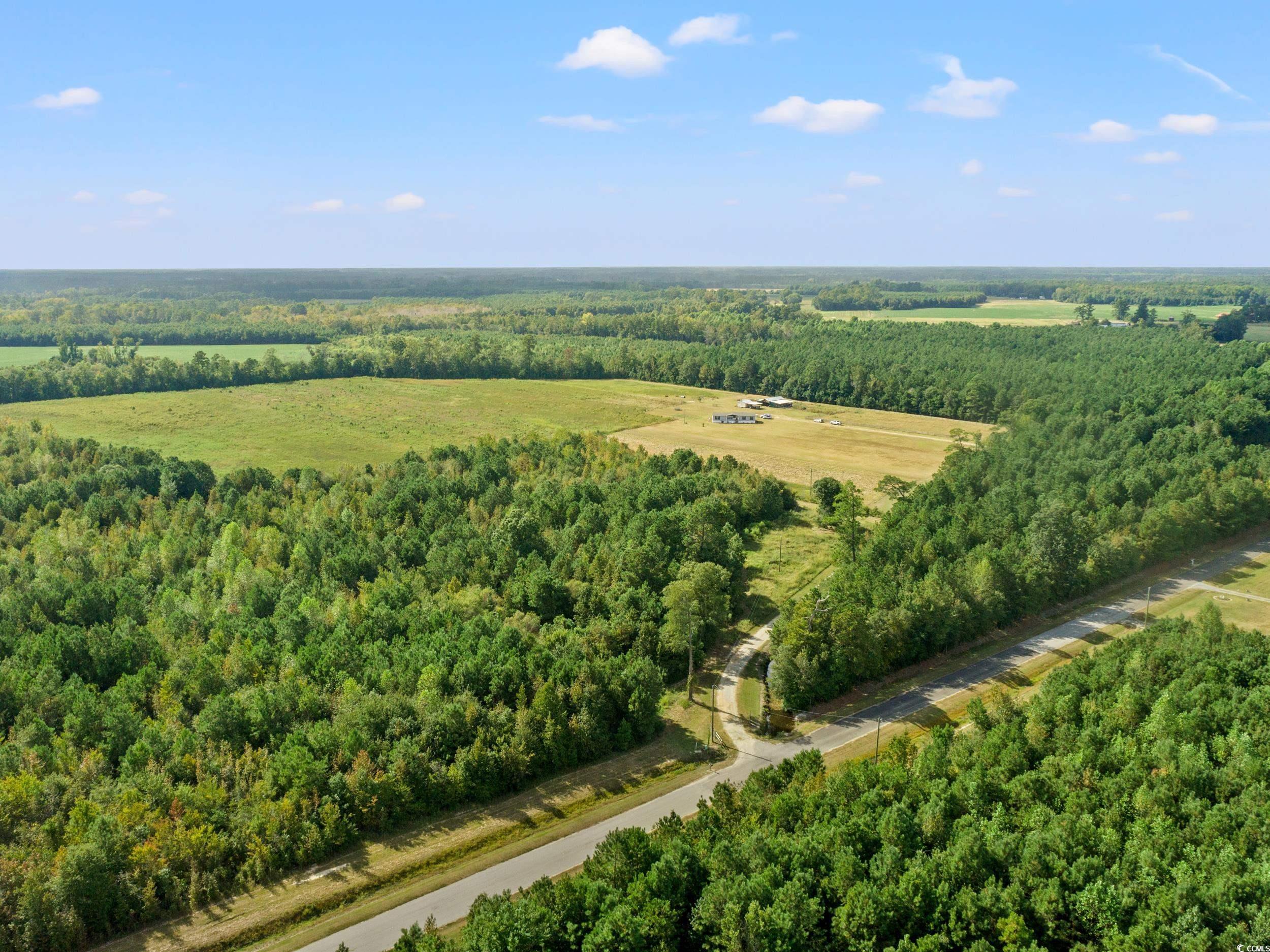 1217 Poplar Creek Road Lake View, SC 29563 - Photo 30 of 38 Bird's eye view of a forest