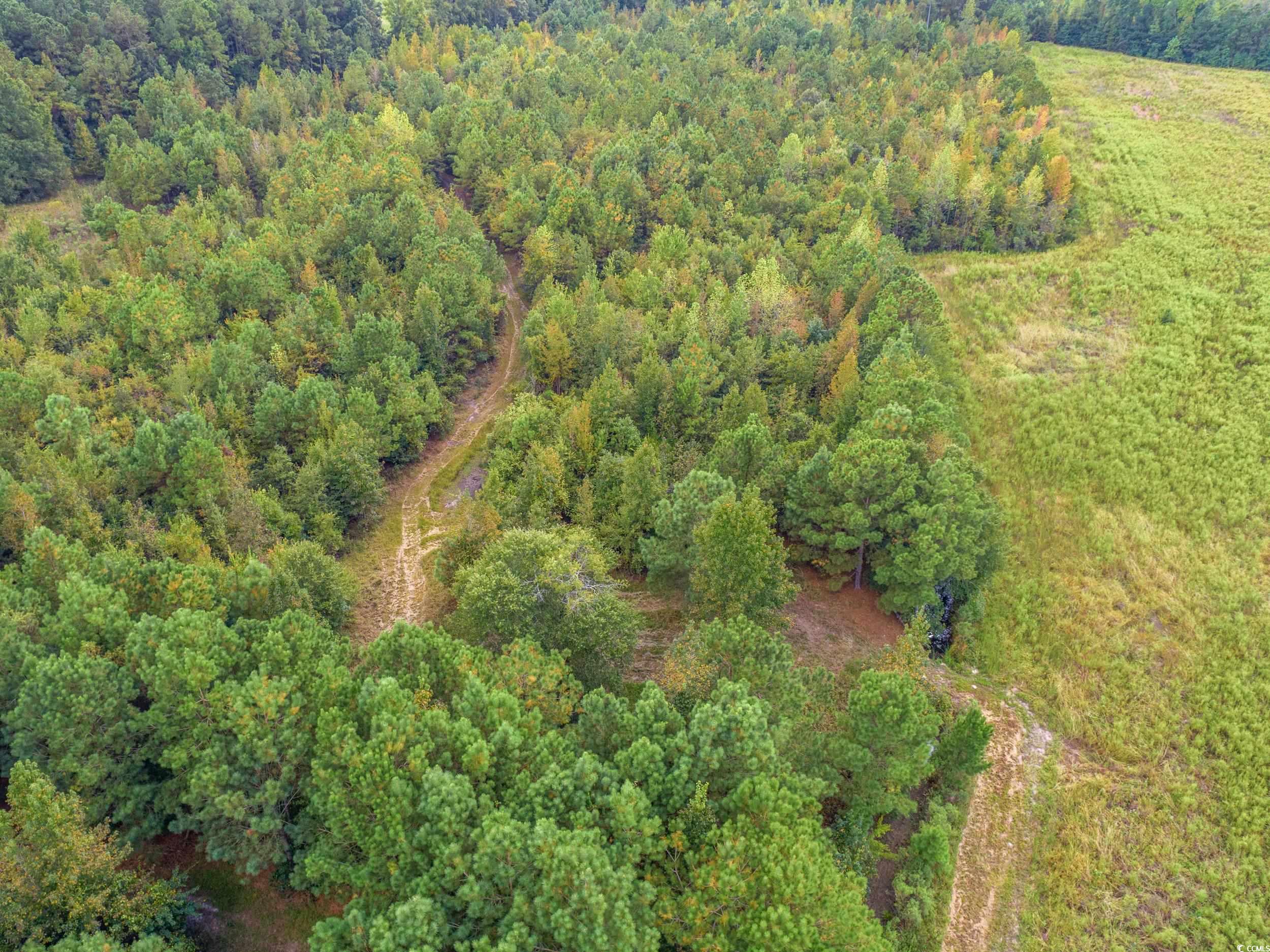 1217 Poplar Creek Road Lake View, SC 29563 - Photo 32 of 38 Aerial view of property's location