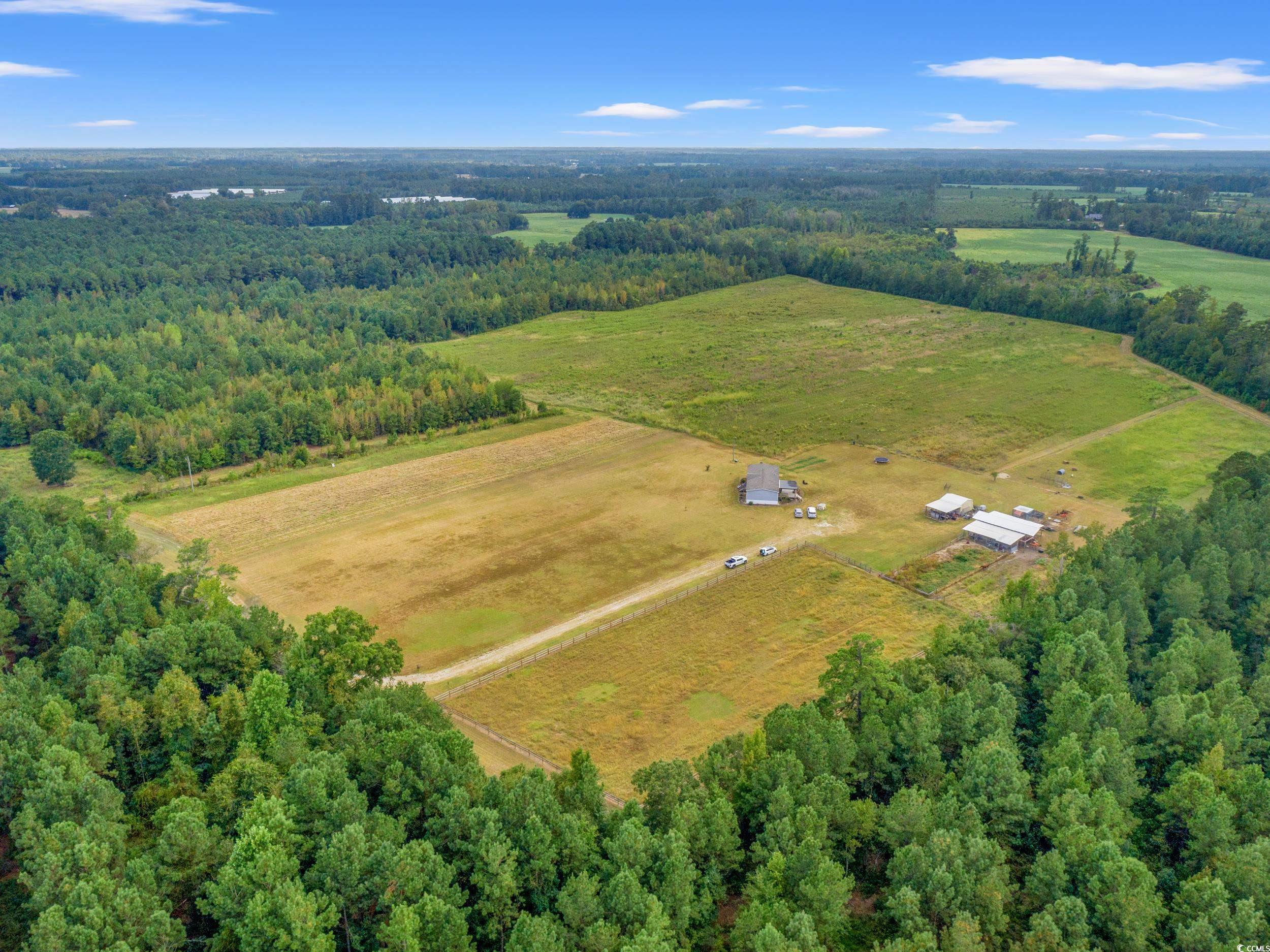 1217 Poplar Creek Road Lake View, SC 29563 - Photo 33 of 38 Overview of rural landscape featuring a forest