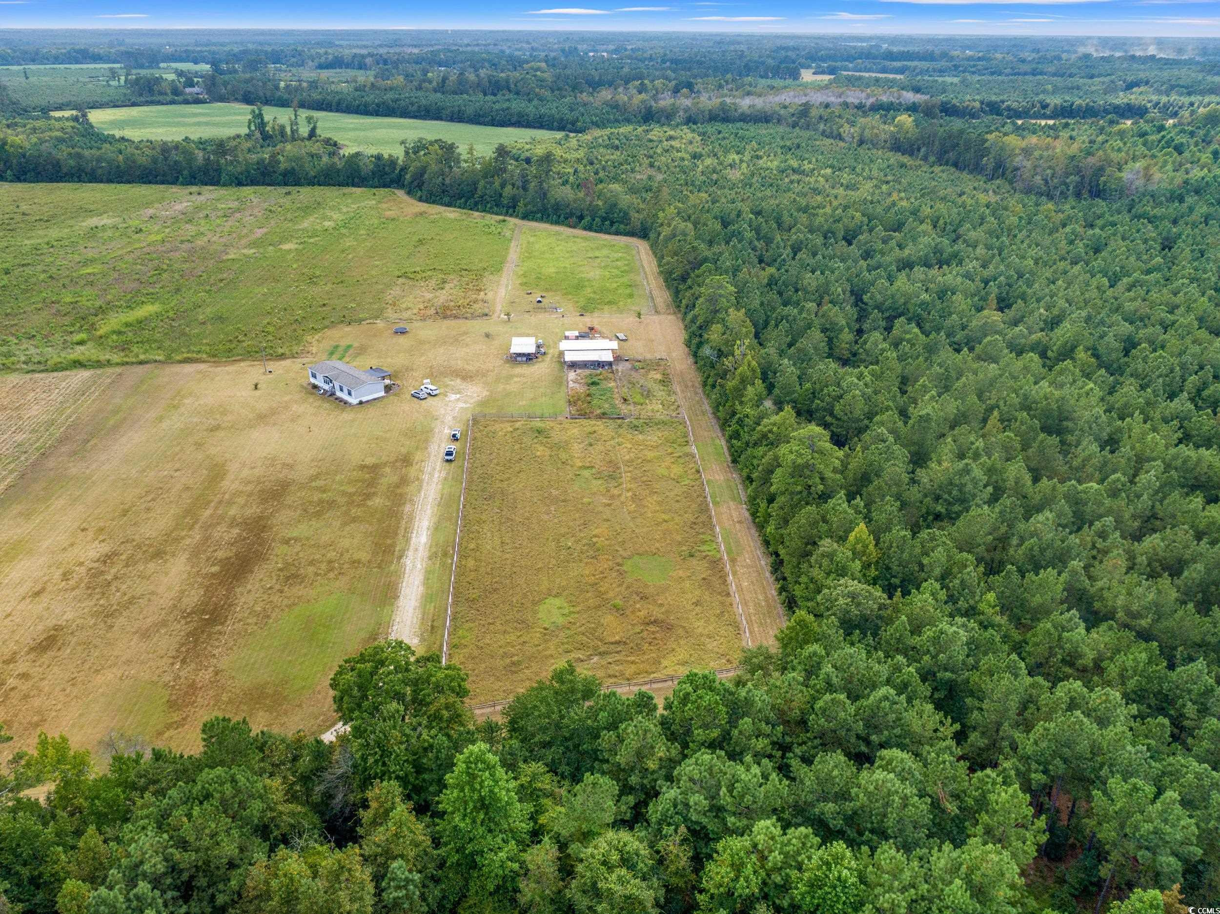 1217 Poplar Creek Road Lake View, SC 29563 - Photo 34 of 38 Aerial view of sparsely populated area with a heavily wooded area