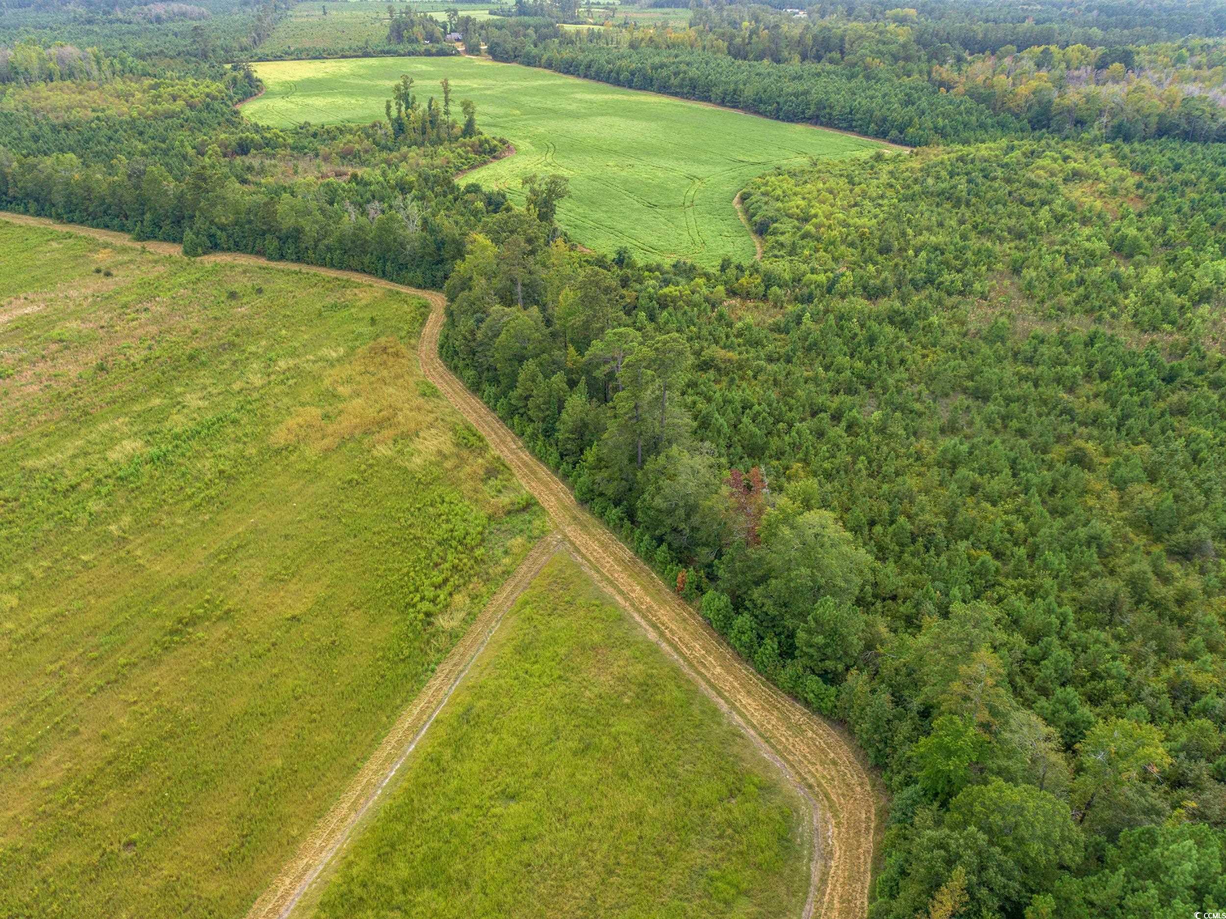 1217 Poplar Creek Road Lake View, SC 29563 - Photo 35 of 38 View of rural area with a forest