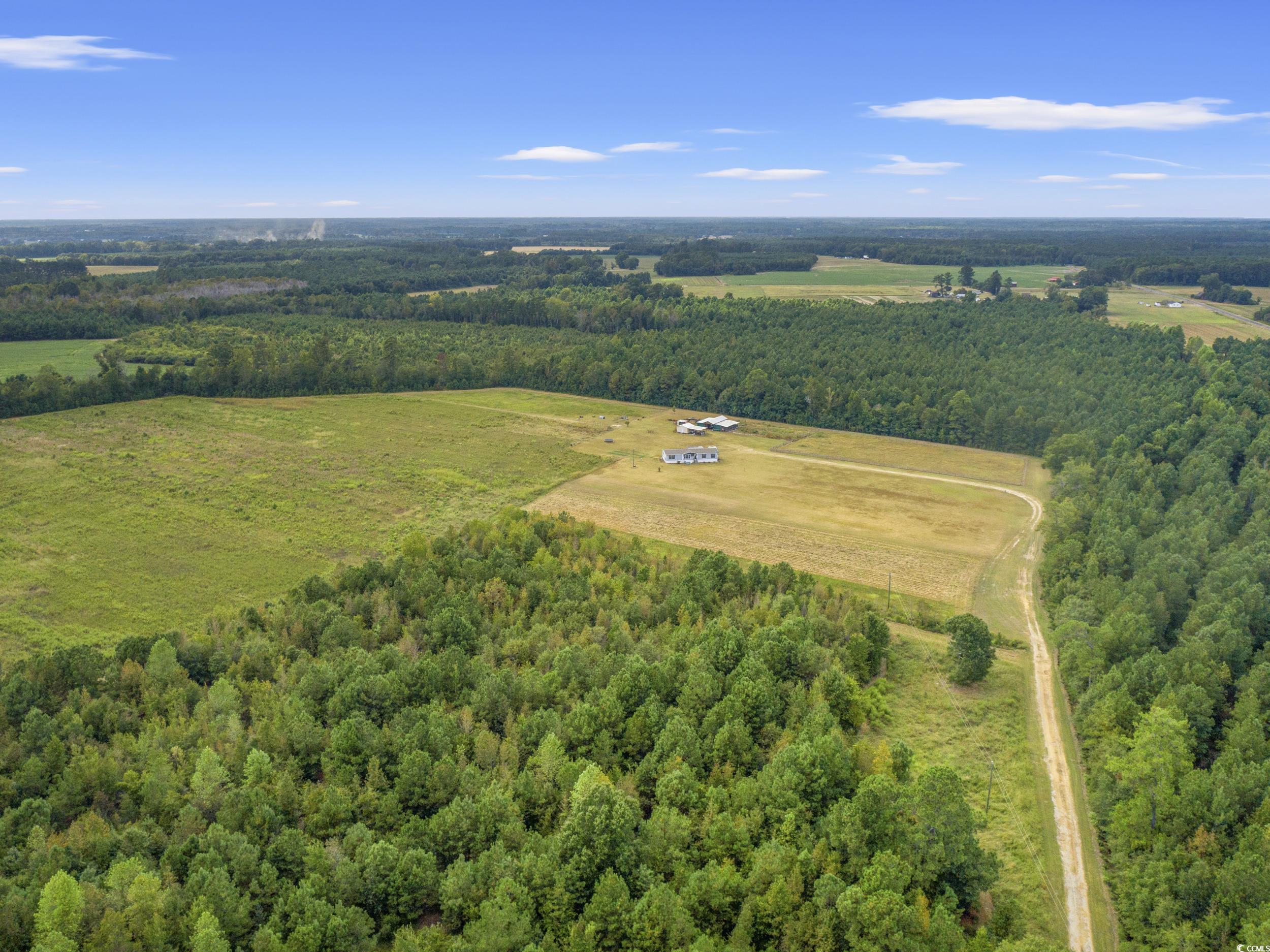 1217 Poplar Creek Road Lake View, SC 29563 - Photo 37 of 38 View of rural area featuring a forest