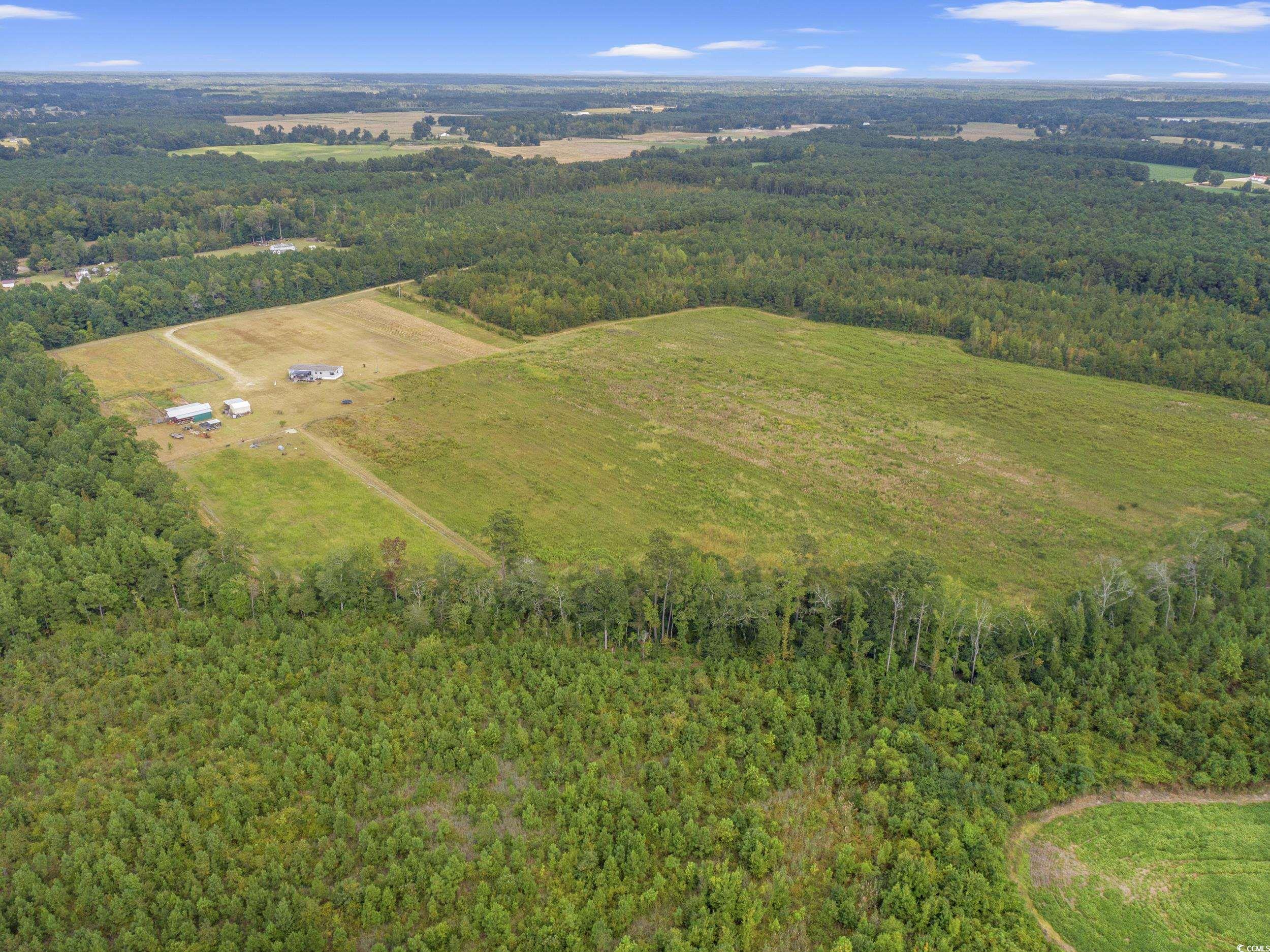 1217 Poplar Creek Road Lake View, SC 29563 - Photo 38 of 38 View of property location with a forest