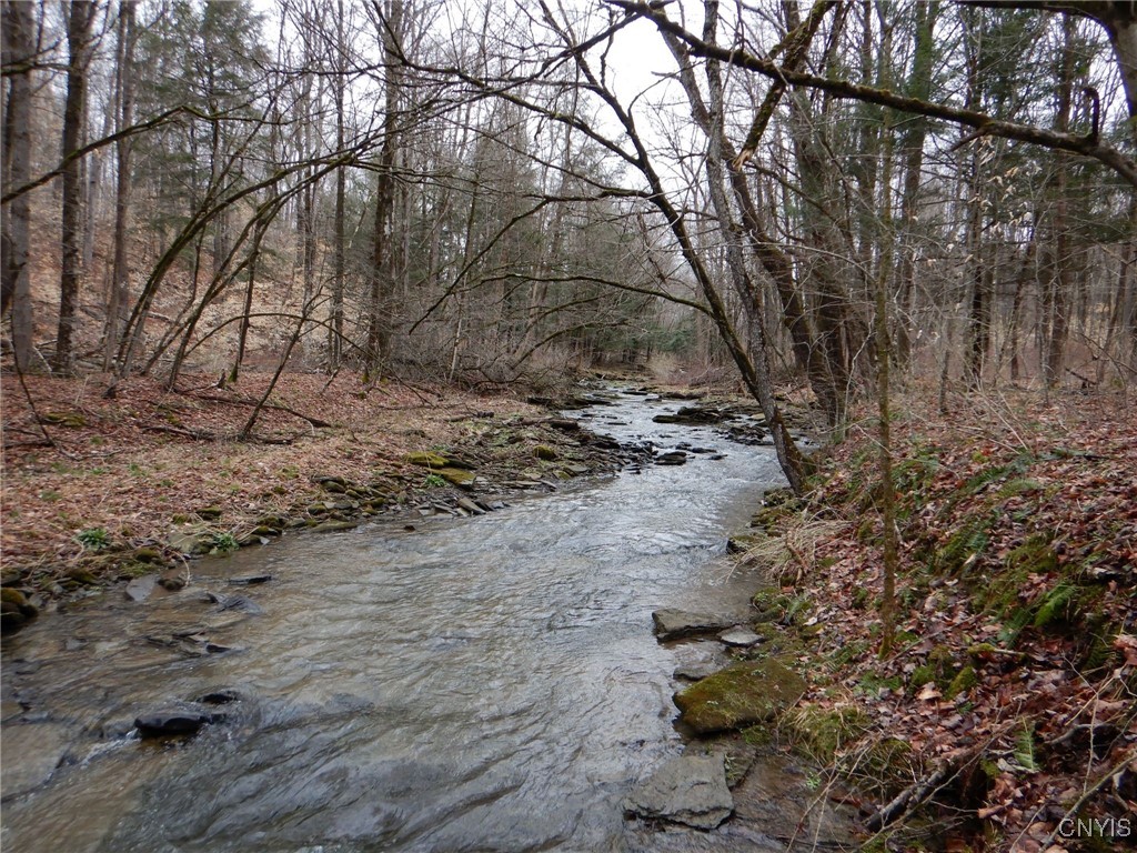 16 County Road Angelica, NY 14709 - Photo 1 of 1 Gallery Image 1