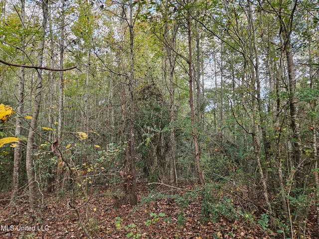 $16,500 | Mt Sinai Road, Foxworth, MS 39483