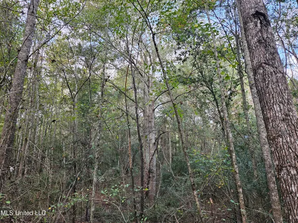 $16,500 | Mt Sinai Road, Foxworth, MS 39483