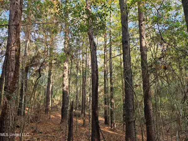 $16,500 | Mt Sinai Road, Foxworth, MS 39483