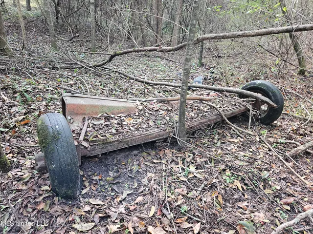 $16,500 | Mt Sinai Road, Foxworth, MS 39483