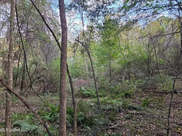 $16,500 | Mt Sinai Road, Foxworth, MS 39483