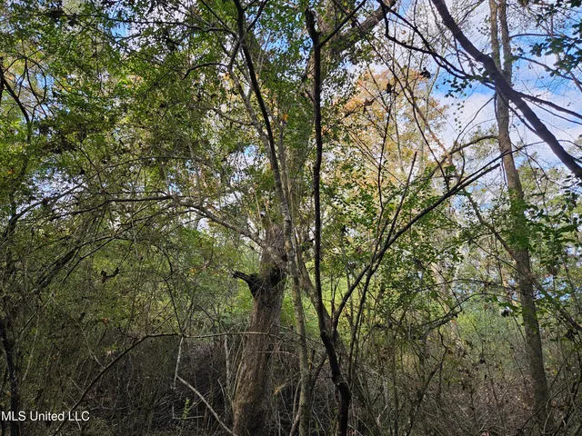 $16,500 | Mt Sinai Road, Foxworth, MS 39483