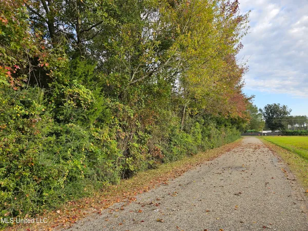 $16,500 | Mt Sinai Road, Foxworth, MS 39483