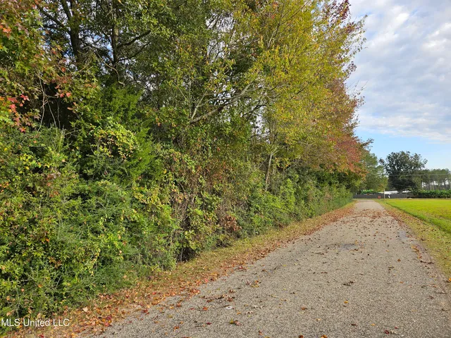 $16,500 | Mt Sinai Road, Foxworth, MS 39483