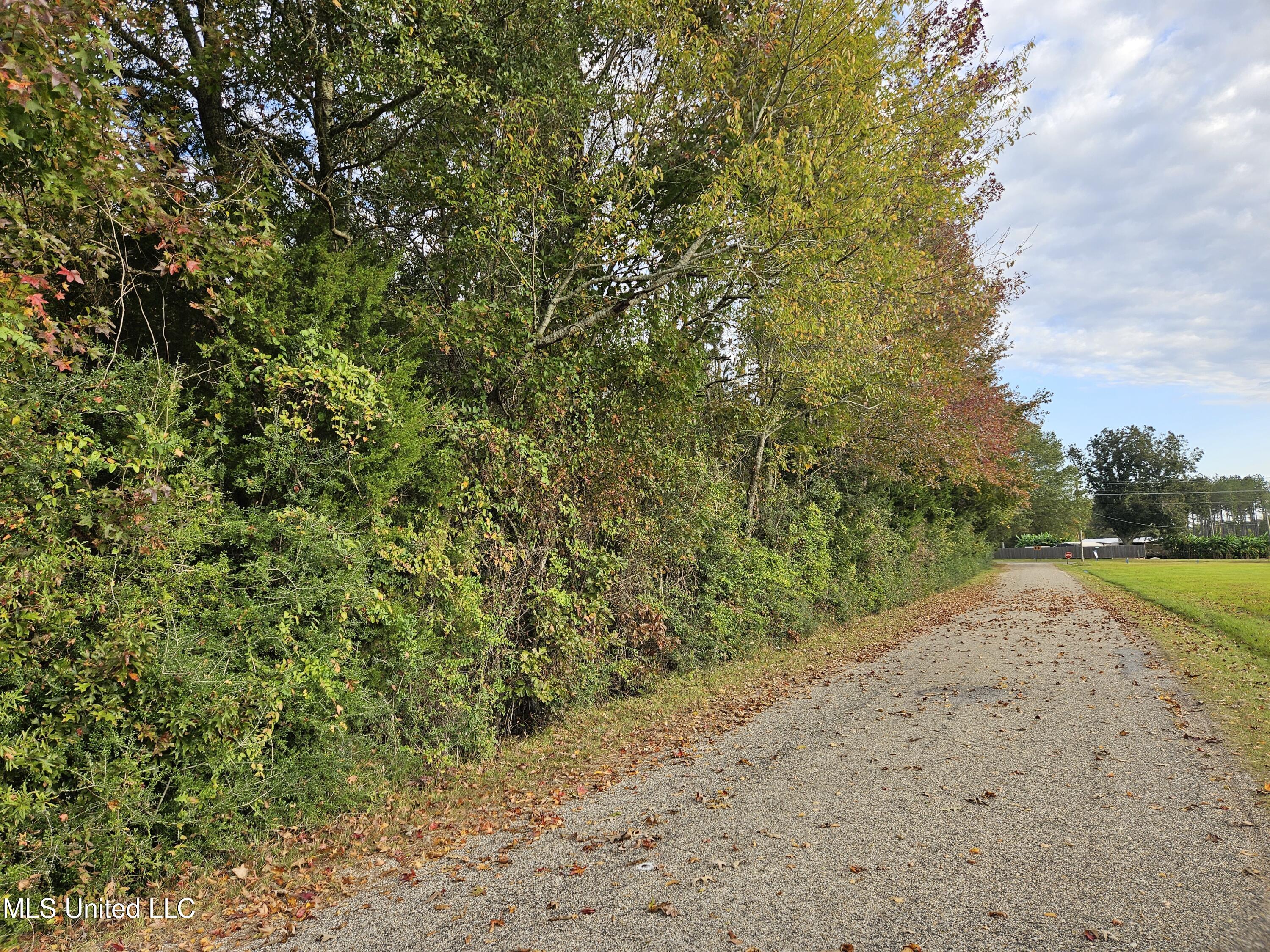 Mt Sinai Road Foxworth, MS 39483 - Photo 2 of 38 20251109_074906