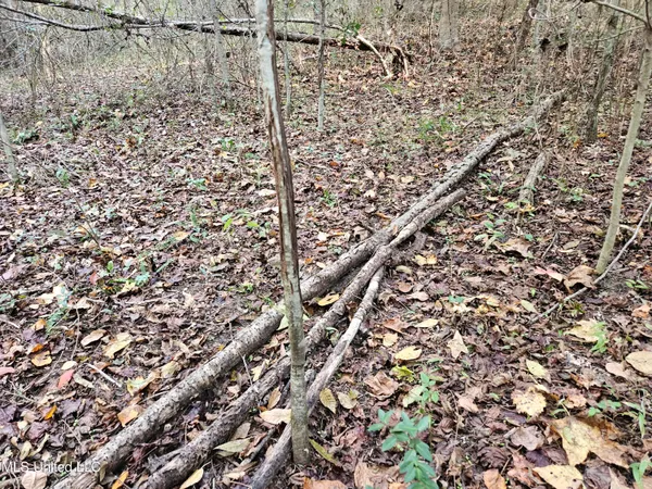 $16,500 | Mt Sinai Road, Foxworth, MS 39483