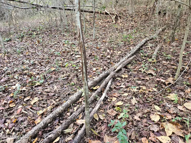 $16,500 | Mt Sinai Road, Foxworth, MS 39483