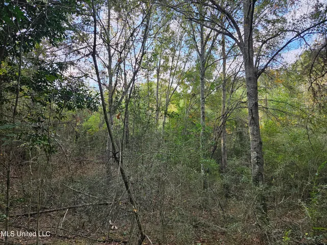 $16,500 | Mt Sinai Road, Foxworth, MS 39483