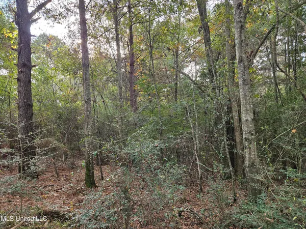$16,500 | Mt Sinai Road, Foxworth, MS 39483