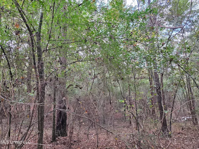 $16,500 | Mt Sinai Road, Foxworth, MS 39483