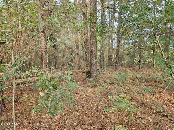 $16,500 | Mt Sinai Road, Foxworth, MS 39483