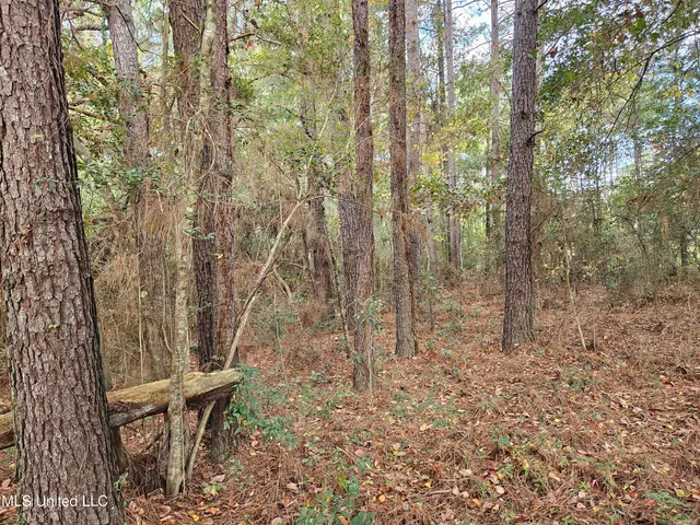 $16,500 | Mt Sinai Road, Foxworth, MS 39483