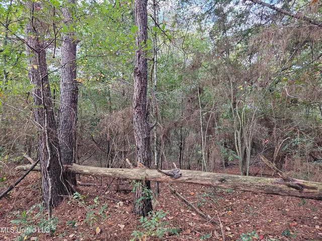 $16,500 | Mt Sinai Road, Foxworth, MS 39483