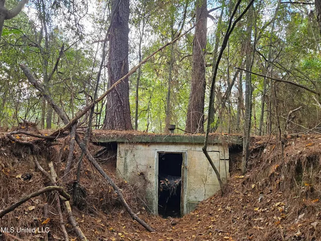 $16,500 | Mt Sinai Road, Foxworth, MS 39483