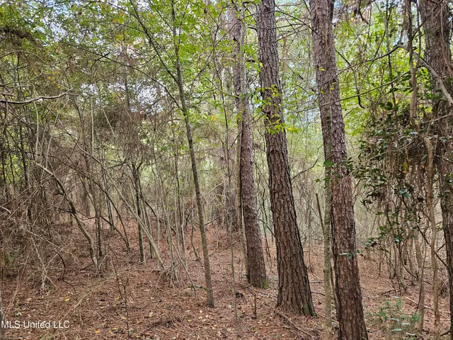 $16,500 | Mt Sinai Road, Foxworth, MS 39483