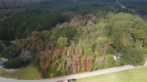 $16,500 | Mt Sinai Road, Foxworth, MS 39483