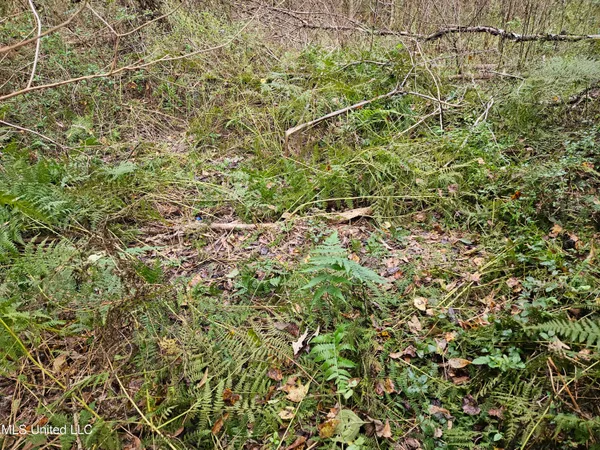 $16,500 | Mt Sinai Road, Foxworth, MS 39483