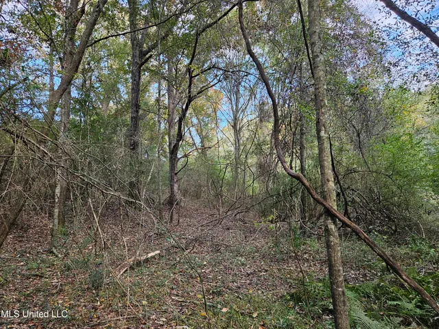 $16,500 | Mt Sinai Road, Foxworth, MS 39483