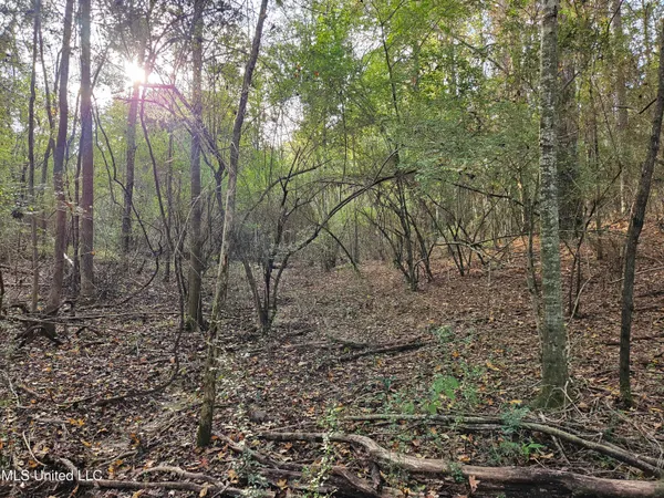 $16,500 | Mt Sinai Road, Foxworth, MS 39483