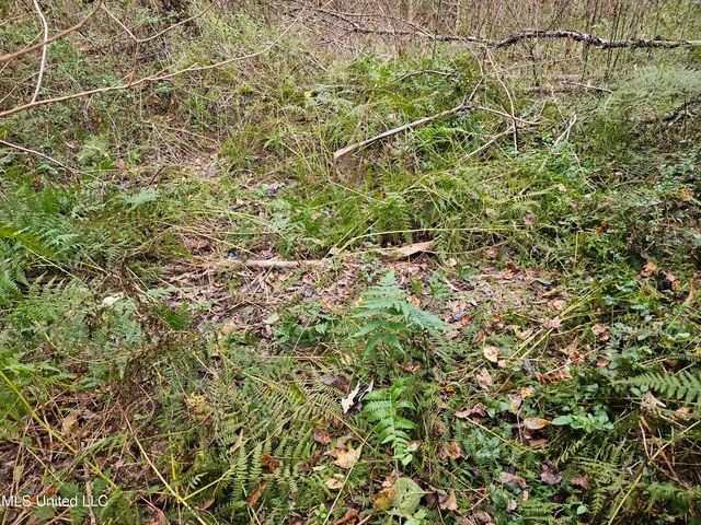 $16,500 | Mt Sinai Road, Foxworth, MS 39483