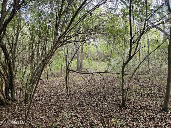 $16,500 | Mt Sinai Road, Foxworth, MS 39483