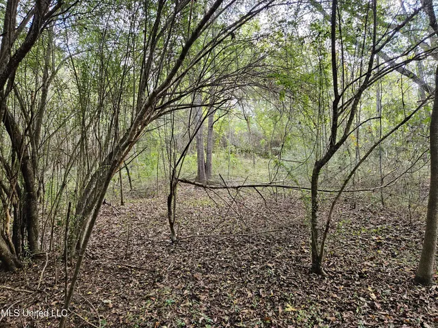 $16,500 | Mt Sinai Road, Foxworth, MS 39483