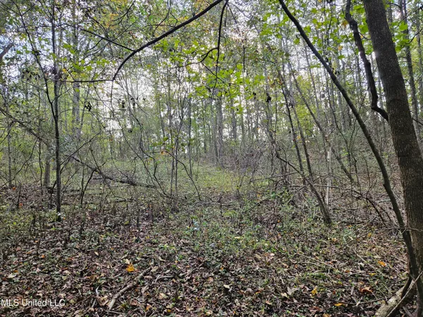 $16,500 | Mt Sinai Road, Foxworth, MS 39483