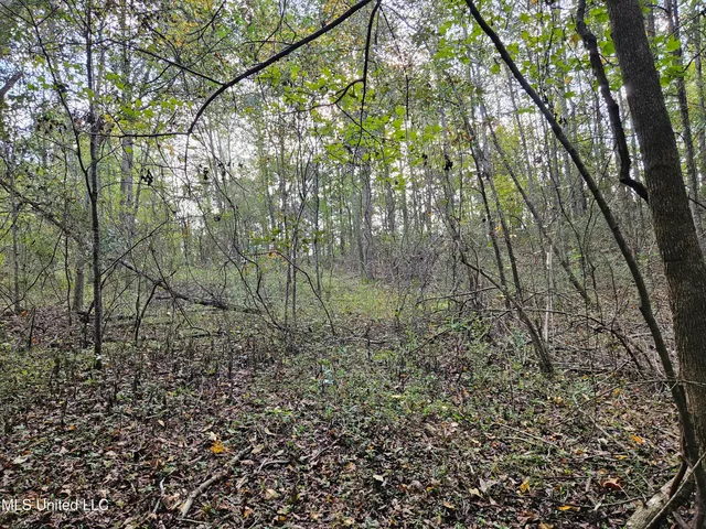 $16,500 | Mt Sinai Road, Foxworth, MS 39483