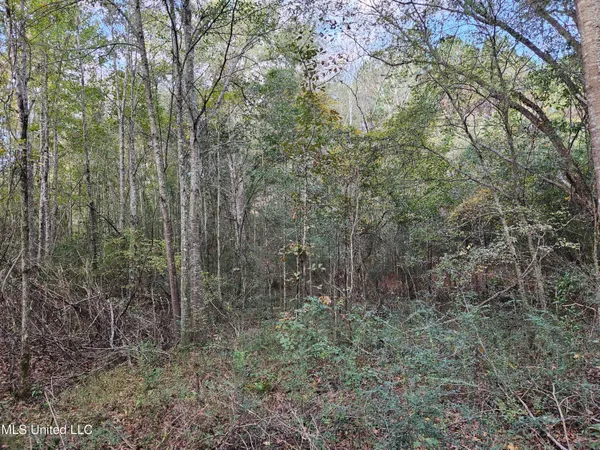 $16,500 | Mt Sinai Road, Foxworth, MS 39483