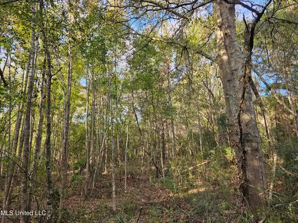 $16,500 | Mt Sinai Road, Foxworth, MS 39483