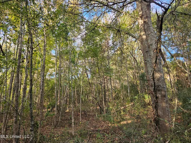 $16,500 | Mt Sinai Road, Foxworth, MS 39483