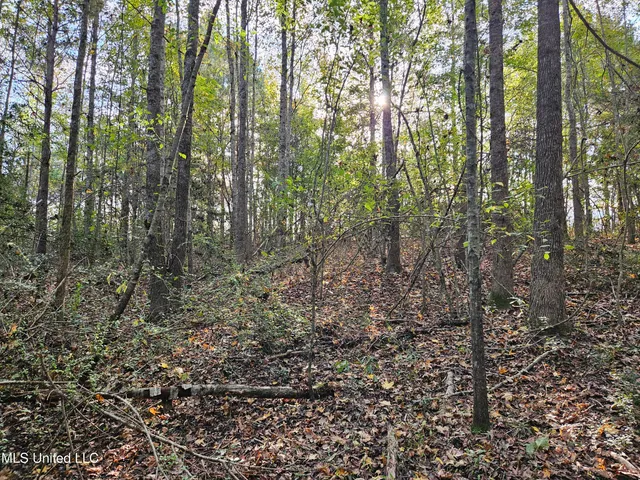 $16,500 | Mt Sinai Road, Foxworth, MS 39483