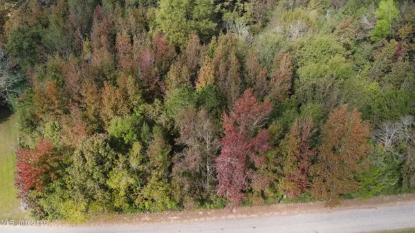 $16,500 | Mt Sinai Road, Foxworth, MS 39483