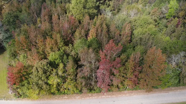 $16,500 | Mt Sinai Road, Foxworth, MS 39483