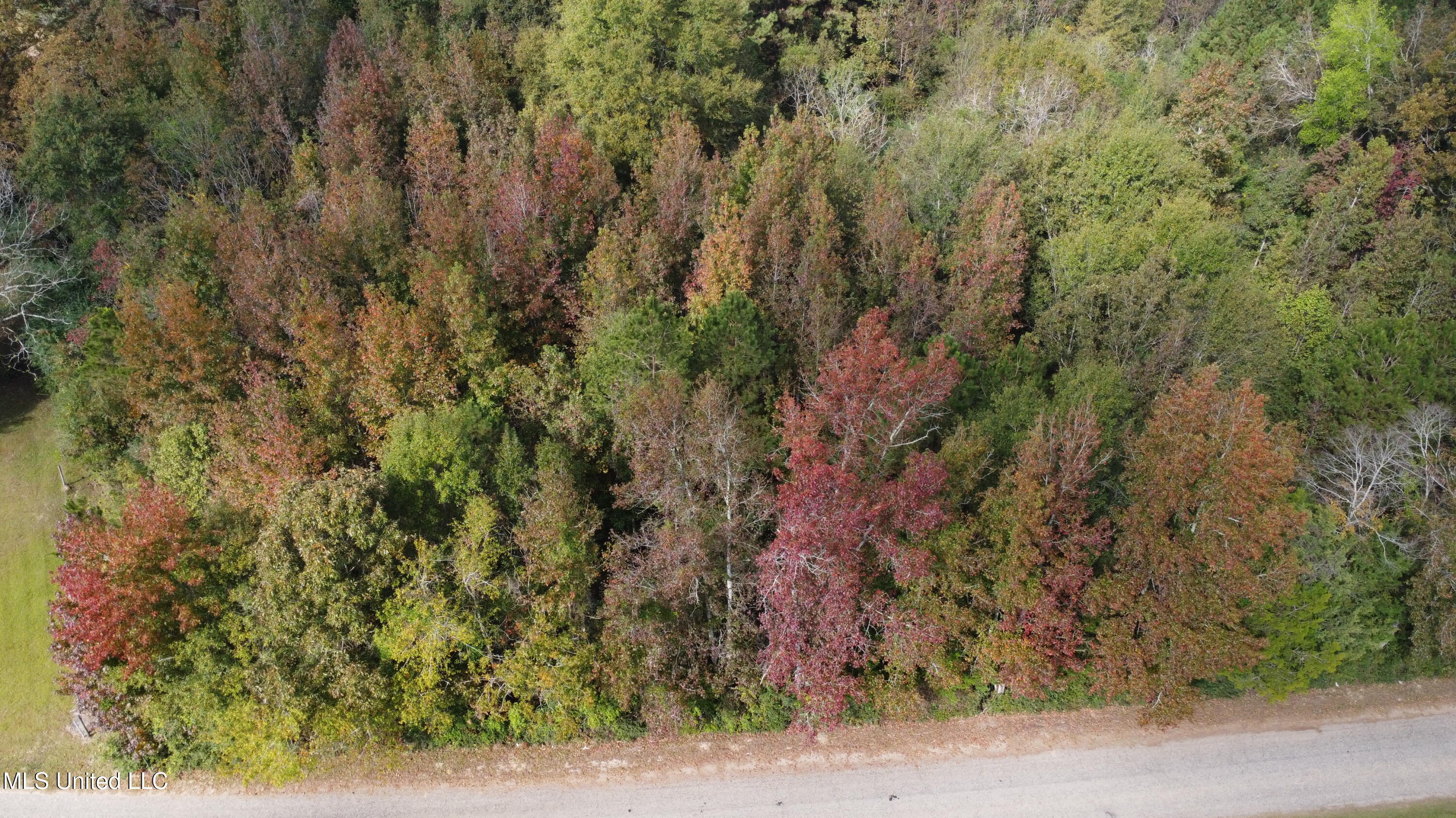 Mt Sinai Road Foxworth, MS 39483 - Photo 5 of 38 DJI_0587