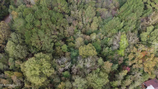 $16,500 | Mt Sinai Road, Foxworth, MS 39483