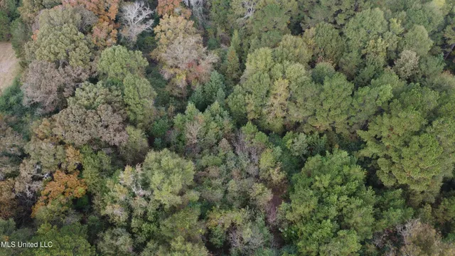 $16,500 | Mt Sinai Road, Foxworth, MS 39483