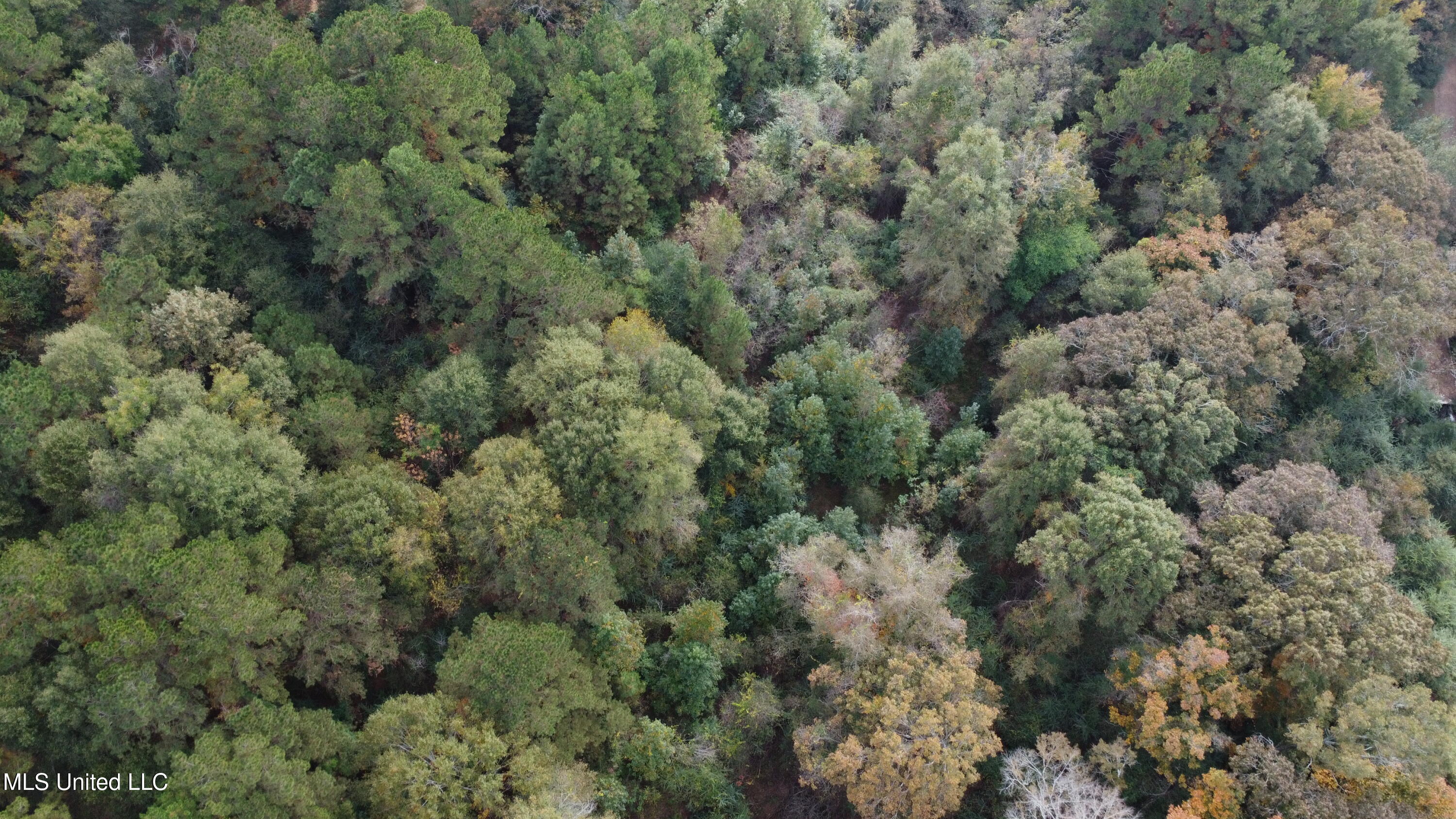 Mt Sinai Road Foxworth, MS 39483 - Photo 9 of 38 DJI_0592